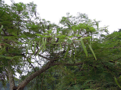 DSCN1294.JPG