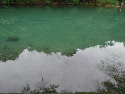 DSCN1295.JPG