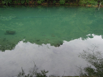 DSCN1296.JPG