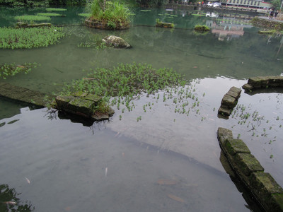 DSCN1297.JPG