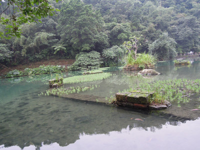 DSCN1298.JPG