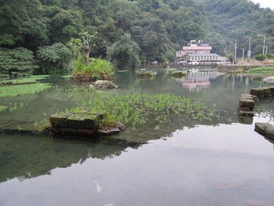 DSCN1299.JPG