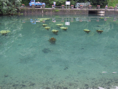 DSCN1300.JPG