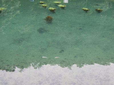 DSCN1301.JPG