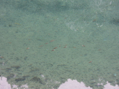 DSCN1302.JPG