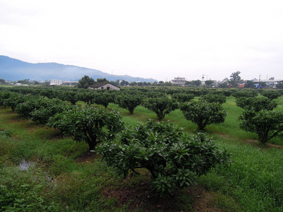 DSCN1306.JPG
