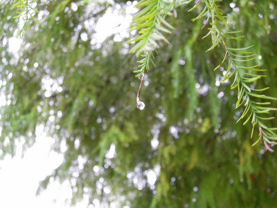 DSCN1310.JPG