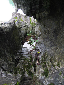DSCN1313.JPG