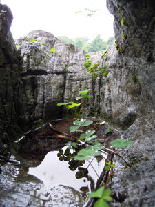 DSCN1314.JPG