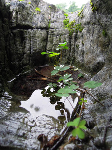 DSCN1315.JPG