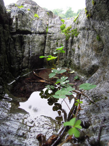 DSCN1316.JPG