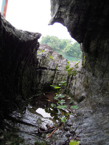 DSCN1317.JPG