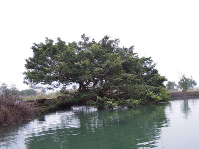 DSCN1332.JPG