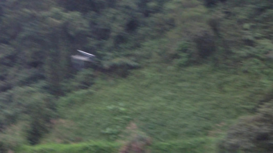 DSCN1340.MOV