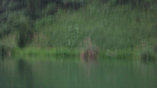 DSCN1343.MOV