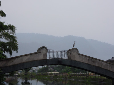DSCN1354.JPG
