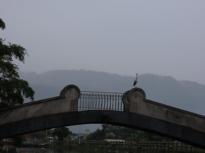 DSCN1355.JPG