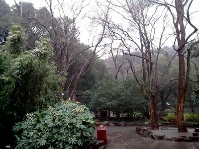 VID_20121229_140200.3gp