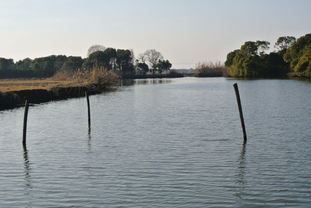 i5-d4 iphone5 (1).JPG