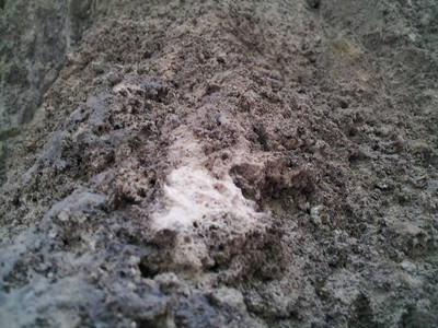 2013-02-28 11.32.00.jpg