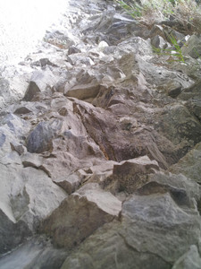 2013-02-28 11.32.04.jpg