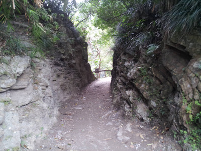 2013-02-28 11.35.24.jpg