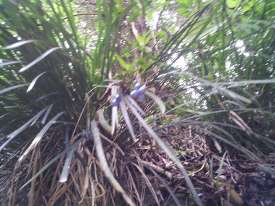 2013-02-28 11.36.37.jpg