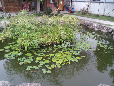 2013-02-28 16.07.45.jpg