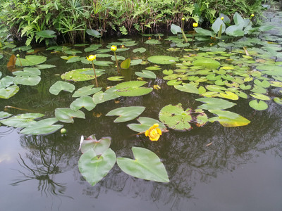 2013-02-28 16.07.52.jpg