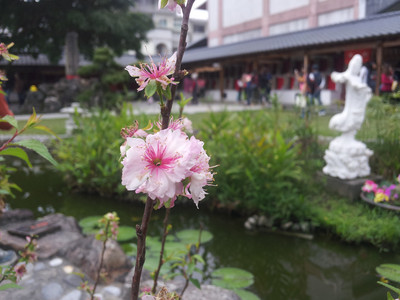 2013-02-28 16.08.15.jpg