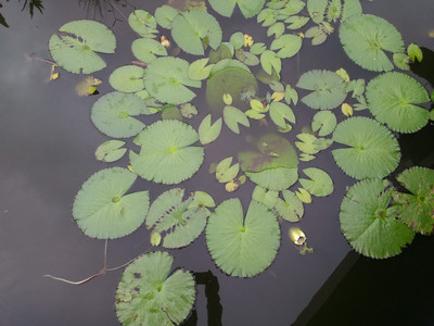 2013-02-28 16.08.51.jpg