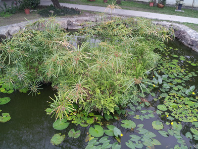 2013-02-28 16.09.08.jpg