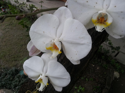 2013-02-28 16.10.40.jpg