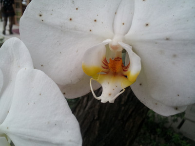 2013-02-28 16.10.49.jpg