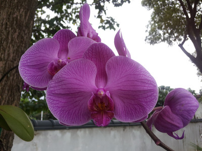 2013-02-28 16.11.05.jpg