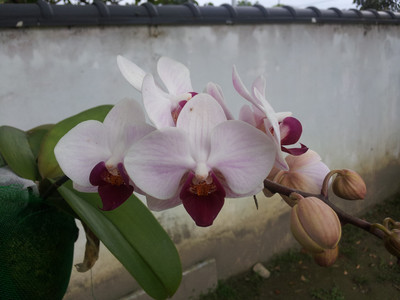 2013-02-28 16.11.15.jpg