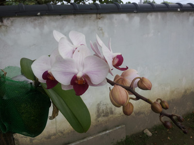 2013-02-28 16.11.19.jpg