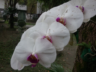 2013-02-28 16.11.38.jpg