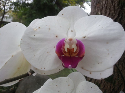 2013-02-28 16.11.43.jpg