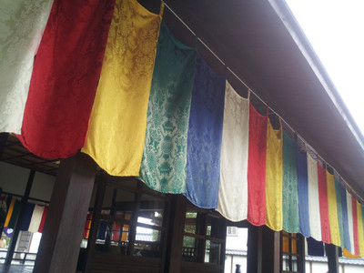 2013-02-28 16.12.49.jpg