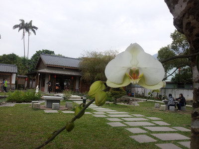 2013-02-28 16.15.34.jpg