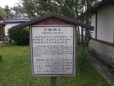 2013-02-28 16.16.42.jpg