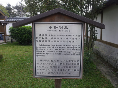 2013-02-28 16.16.46.jpg