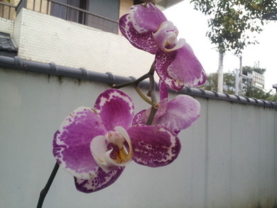 2013-02-28 16.19.37.jpg