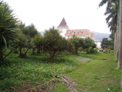 2013-02-28 17.05.34.jpg