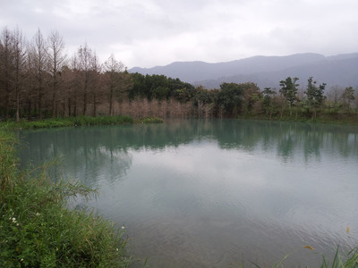 2013-02-28 17.14.59.jpg