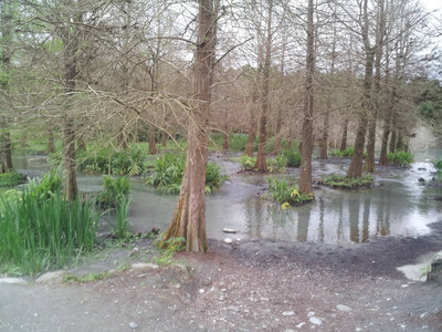 2013-02-28 17.15.59.jpg