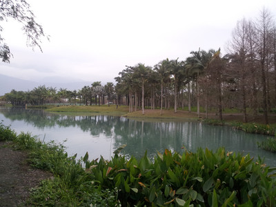 2013-02-28 17.16.59.jpg