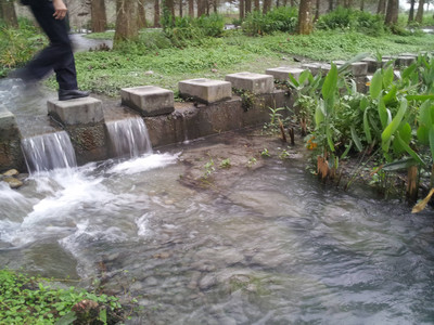 2013-02-28 17.18.08.jpg