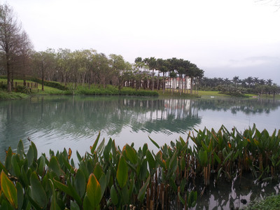 2013-02-28 17.18.18.jpg